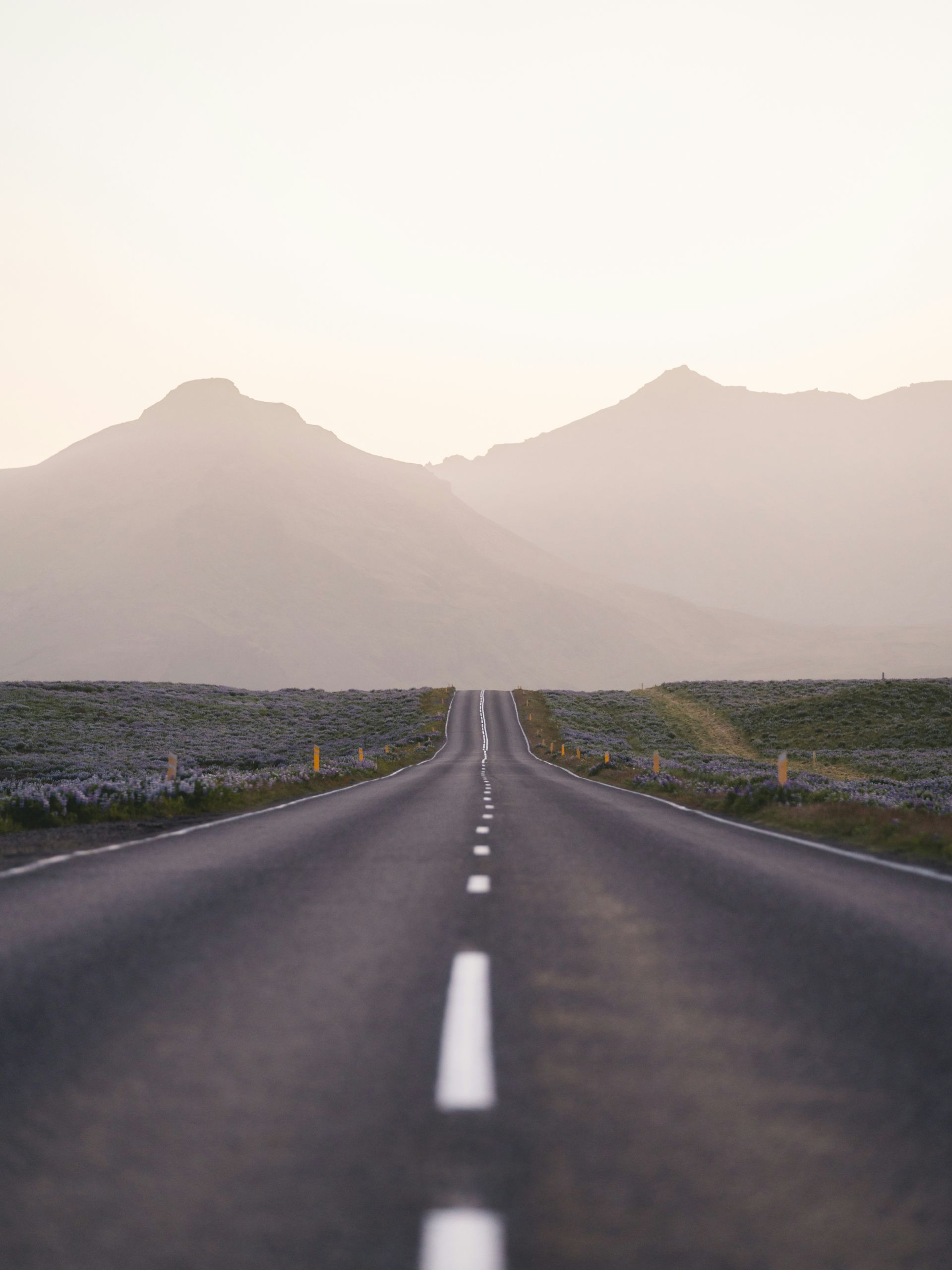 matt-hardy-a8cRyMSuwek-unsplash